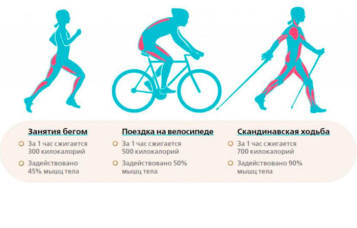 Польза бега, езды на велосипеде и скандинавской ходьбы